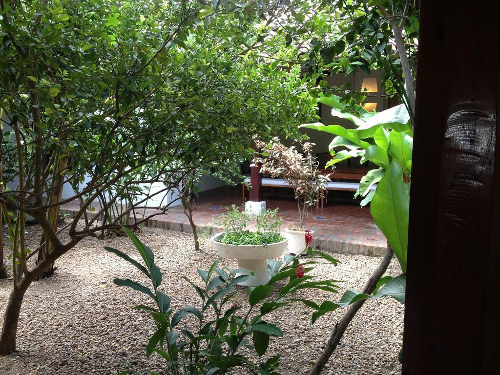 فندق Portal De La Marquesa مومبوس المظهر الخارجي الصورة The garden of the house